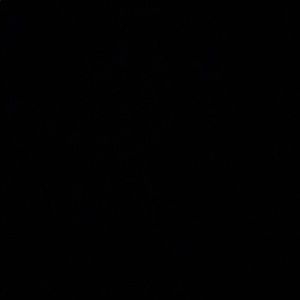 Meet your Posher, Yaritza